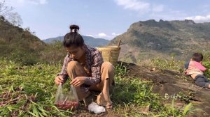 17 Year Old Single Mother -  build Bamboo Fence To Go The Market And Buy Puppies To Raise - ly tu c