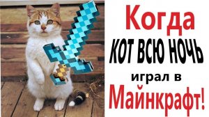 Лютые приколы. КОГДА КОТ ВСЮ НОЧЬ ИГРАЛ В МАЙНКРАФТ!!! СМЕШНЫЕ КОТЫ! Засмеялся проиграл