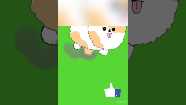 Pomeranian смотреть онлайн