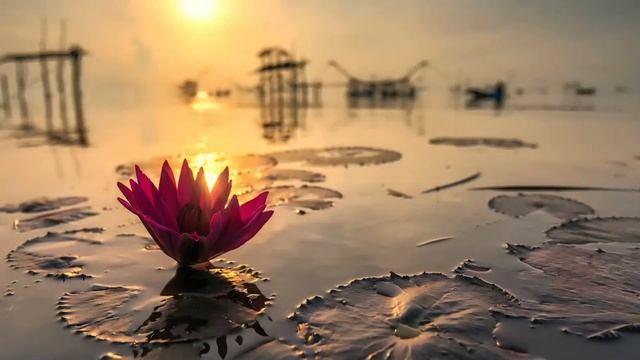 Практика Огненная Роза для очищения от негативных мыслей Волшебная Школа смотреть онлайн