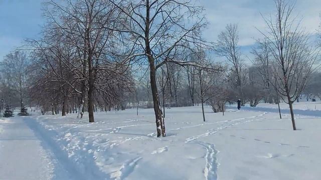 парк Куракина дача. 4 февраля 2022. снято на Самсунг А-52. смотреть онлайн