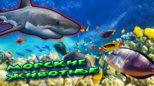 Морские животные / Какие есть в море животные