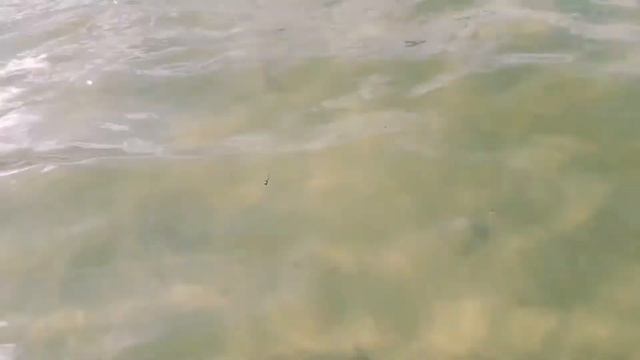 Белое озеро, база отдыха ''Прибой'', июль 2020. смотреть онлайн