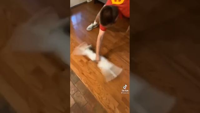 Карусель для кота смотреть онлайн