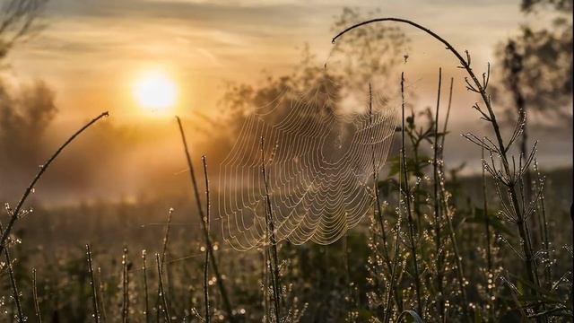 Августейший месяц на исходе ☀️?? Николай Иванов смотреть онлайн