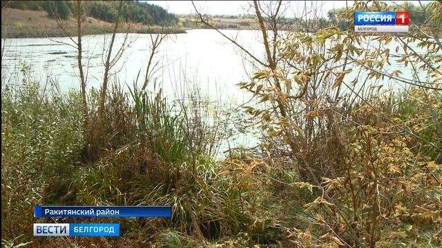 Жители села Введенская Готня обеспокоены судьбой водоема смотреть онлайн