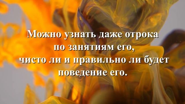 Мудрые советы царя Соломона 35 смотреть онлайн