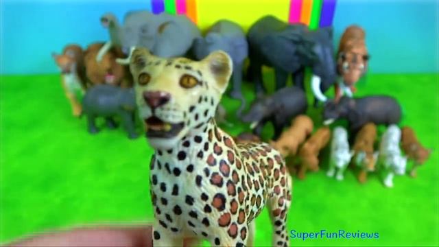 Big Cats - Zoo Animals - Lion Tiger Leopard Elephant Ocelot Panther 13+ смотреть онлайн