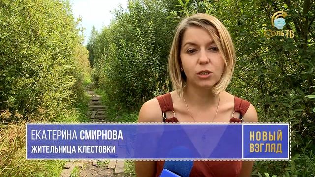 Кратчайший путь с Клестовки до Карналлитово нуждается в благоустройстве_19.08.2021_СольТВ смотреть онлайн