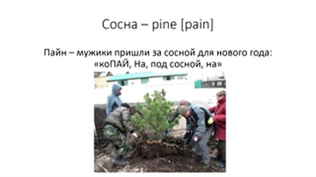Английский, Урок 2 - "Деревья". Мнемотехника, учим английские слова. смотреть онлайн