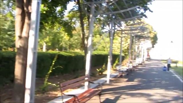 #681 США-Болгария! Первый день-путаница в голове!