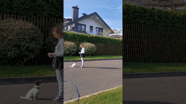 Протокол релаксации Оверолл