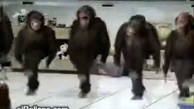 Танцующие обезьянки смотреть онлайн