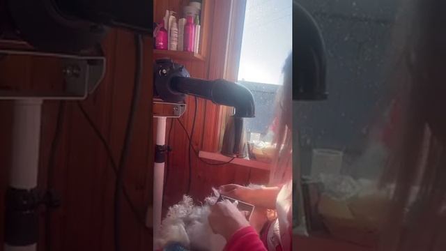 Уход за Мальтезе смотреть онлайн