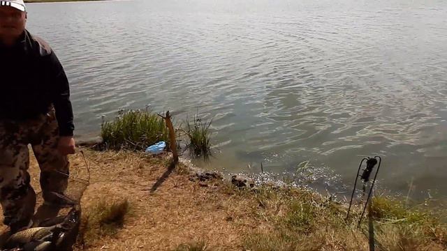 Платная рыбалка, пруд Черноморец 23.08.20г. Улов рыбака. смотреть онлайн