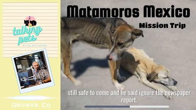 Matamoros, Mexico: Missions Trip смотреть онлайн