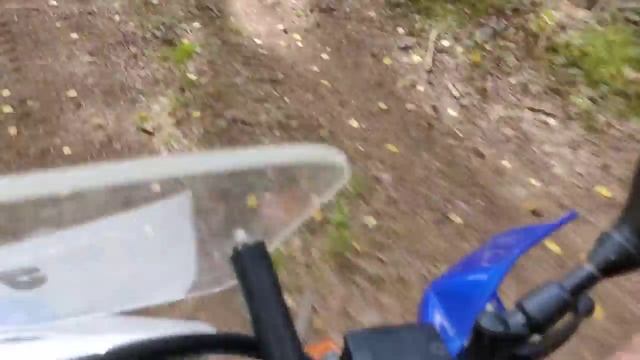 Сосновый бор, грибы, песок и километры радости на колесо?? смотреть онлайн