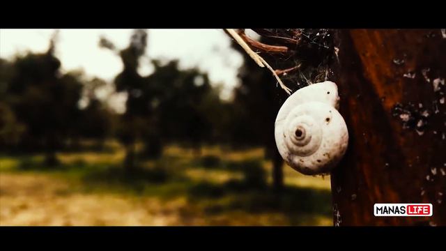 “Манас“ после дождя... (снят на Iphone 5) смотреть онлайн