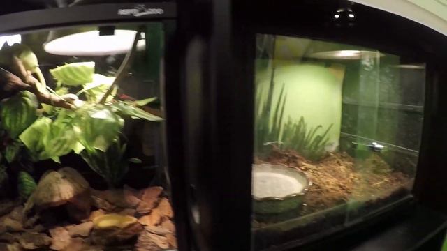 Тактильный зоопарк смотреть онлайн