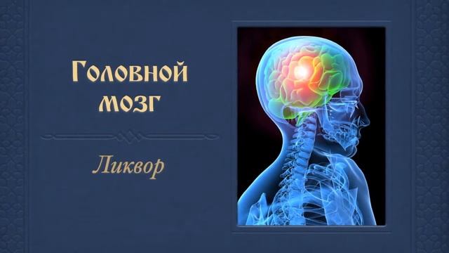 Капалабхати. Антон Чудин смотреть онлайн