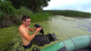 Ловлю рыбу руками в болоте! Рыбалка с лодки в камышах.