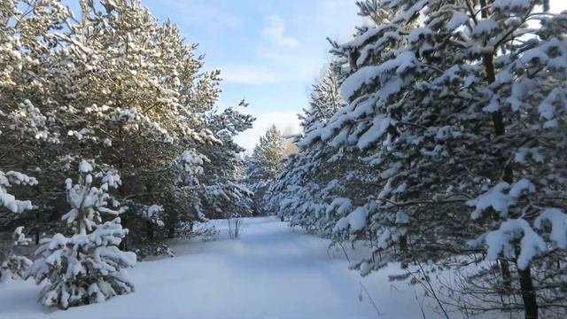 Порт Весьегонск: лыжная трасса. Как в сказке 