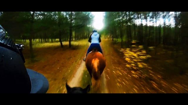Horseback Riding Music Video Horse Galloping Gopro Hero 7 POV Adventure смотреть онлайн