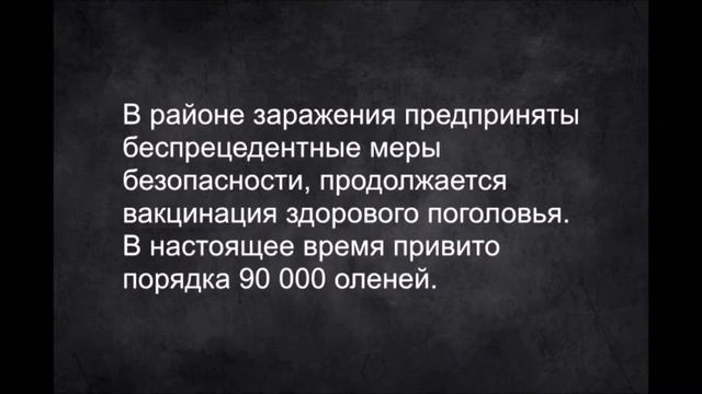 ЕГЭ лексические ошибки смотреть онлайн