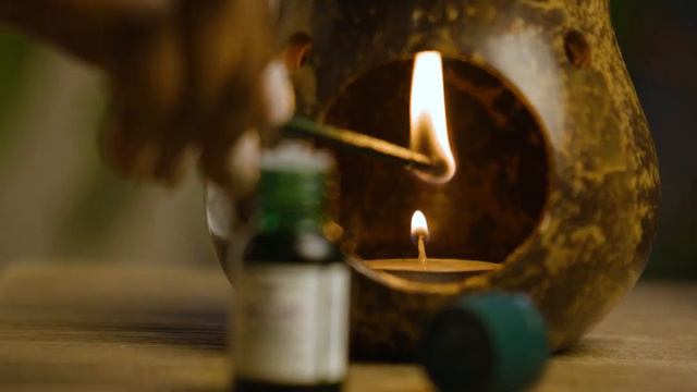 Sleep Lavender & Vetiver Relaxing Oil Burner Blend 68004 смотреть онлайн