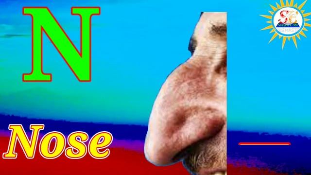 ABC Alphabet // ABC Phonics song /English ABC Song // ABC Nursery Rhymes // Alphabets Song For kids смотреть онлайн
