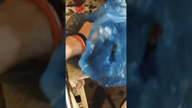 Печенье МАРИЯ ? смотреть онлайн