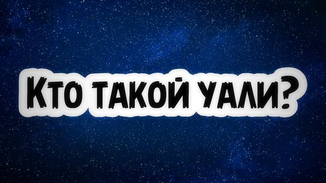 Кто такой уали? || Абу Умар Ас-Сыям смотреть онлайн
