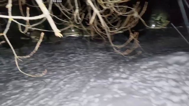 вот что у хаски значит трое на одного смотреть онлайн