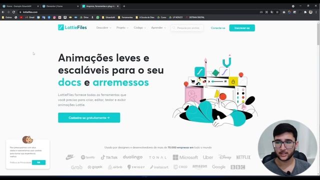 Como fazer caixa de ÍCONES ANIMADOS usando o Elementor Pro смотреть онлайн