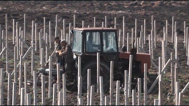 Севастополь 2016 Видеозарисовка 2016 01 50 новая Эфир смотреть онлайн