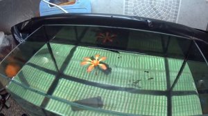 Поплавок зимний лещëвый "Цветок"," Тюльпан","Лепесток", огрузка.