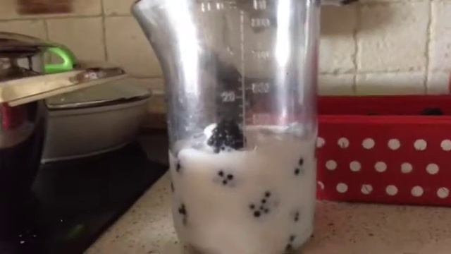 Вкусный ежевичный smoothie,видеоурок смотреть онлайн