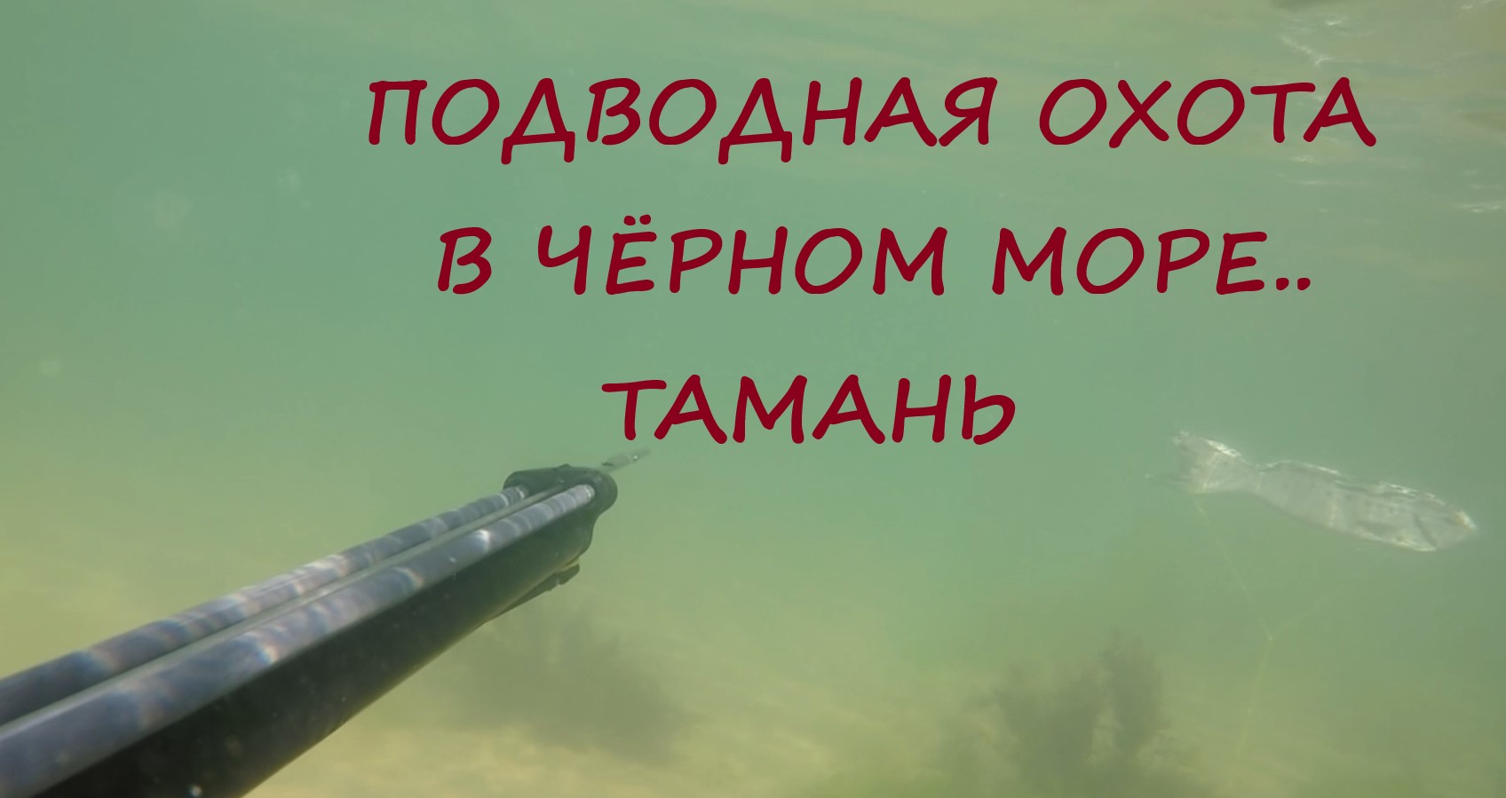 Подводная охота Чёрное море, Тамань, поселок Волна смотреть онлайн
