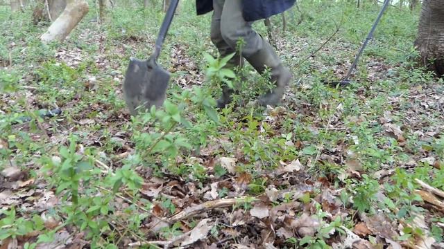 GROSSE SURPRISE TROUVÉE AU DÉTECTEUR DE MÉTAUX смотреть онлайн