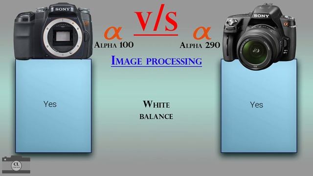 Sony Alpha 100 Vs Sony Alpha 290