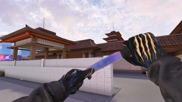 Gloves „Year of the Tiger” knife Tanto „Pearl Abyss” смотреть онлайн