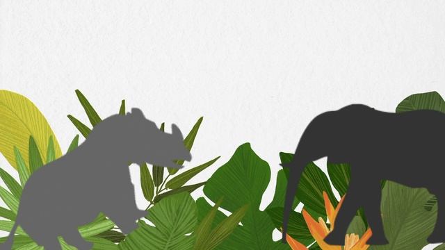 Rhino Vs Elephant смотреть онлайн