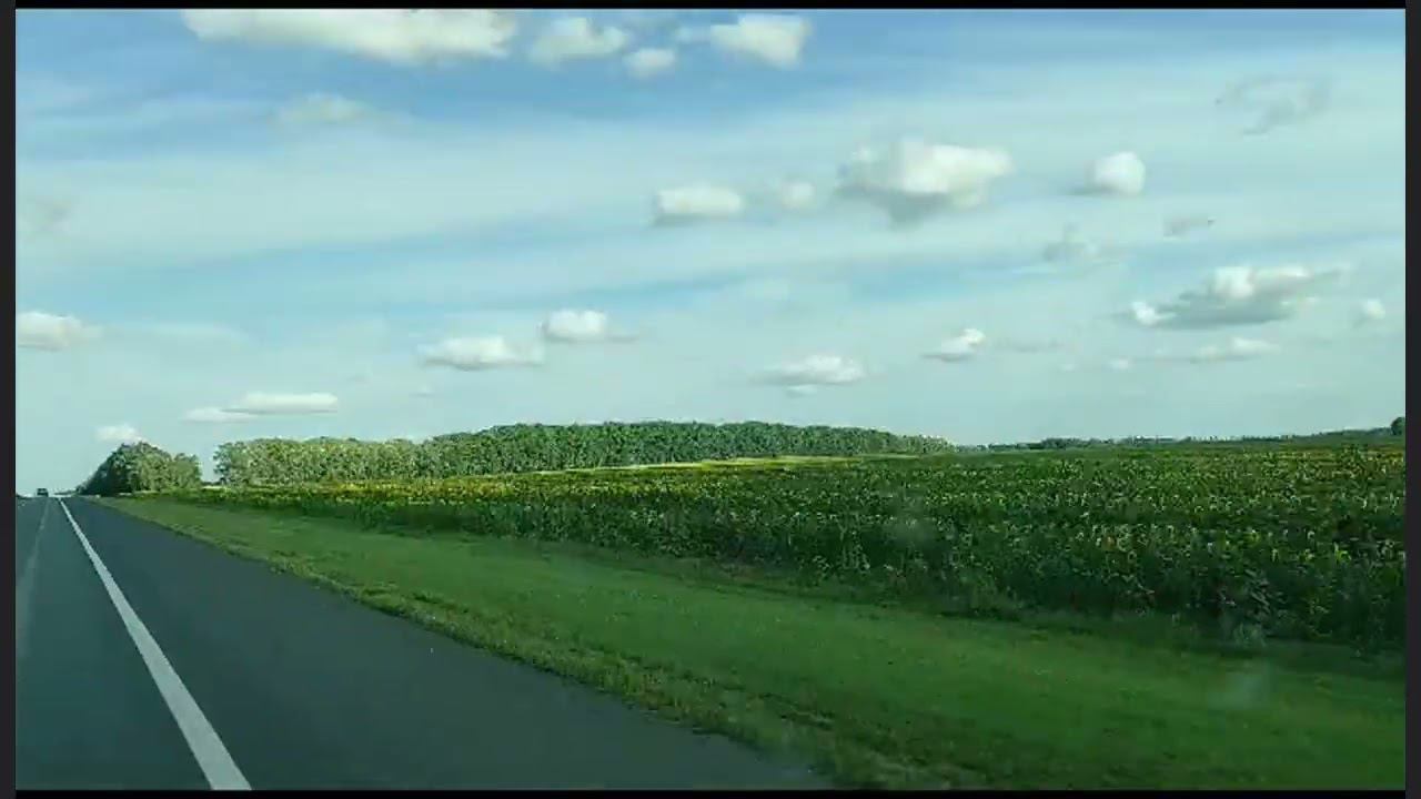 Россия из окна авто смотреть онлайн