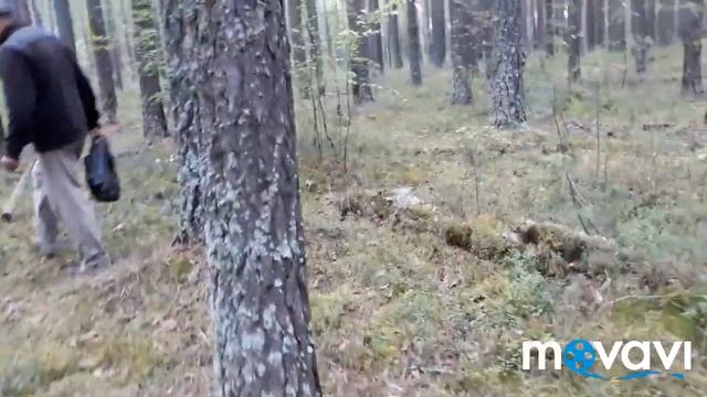 Два больших Гнома в лесу! белые грибы!!!!!!!! смотреть онлайн