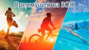 Здоровый образ жизни – это...