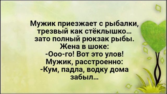 У Меня Жена - Шл#ха!Лучшие Смешные Анекдоты. смотреть онлайн