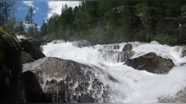 Волшебная поэзия от автора смотреть онлайн