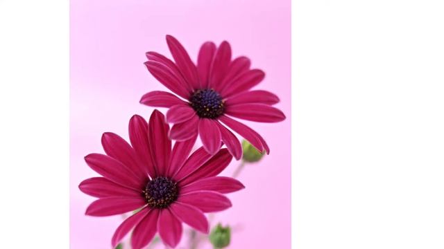 29 июня 2020 г. смотреть онлайн