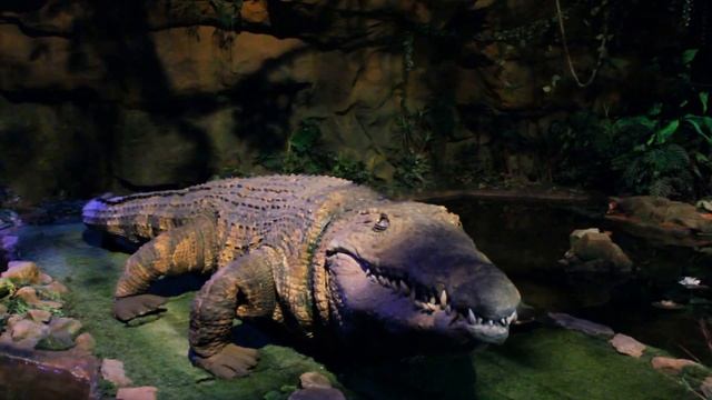 Океанариум Думан Астана - Джунгли Крокодил 2016_06_10 смотреть онлайн