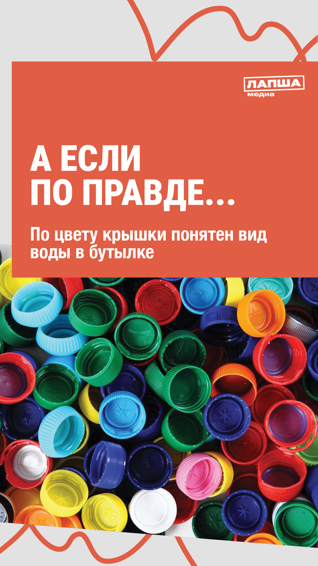 ПО ЦВЕТУ КРЫШКИ МОЖНО ОПРЕДЕЛИТЬ, КАКУЮ ВОДУ ТЫ ПЬЕШЬ смотреть онлайн